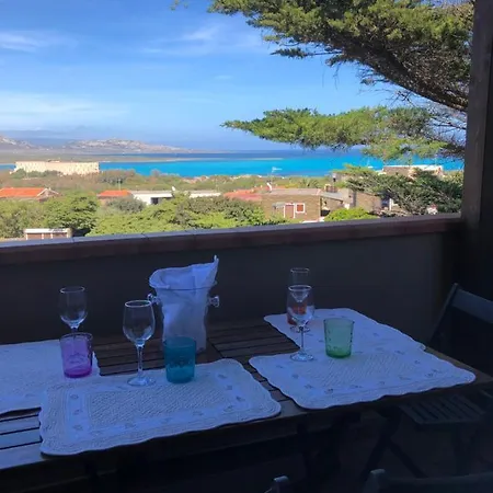Conchiglia Di Vista Mare Stintino