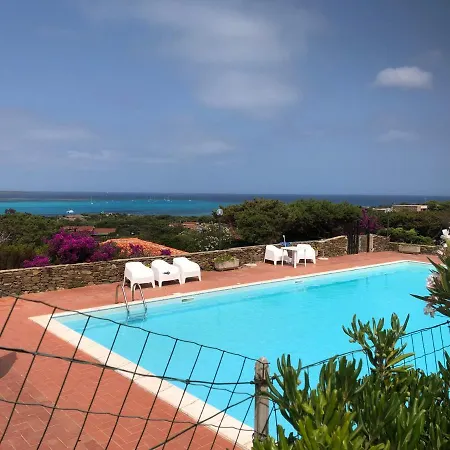 Conchiglia Di Vista Mare *