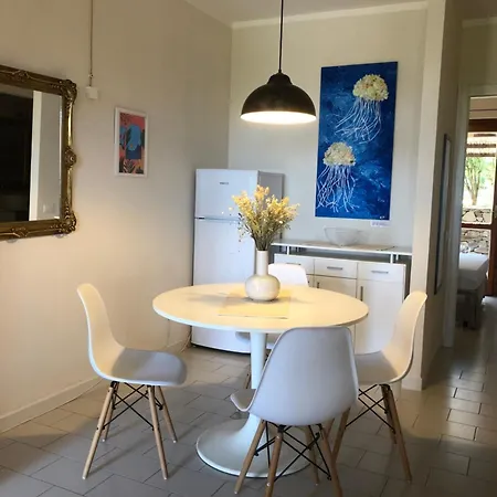 Conchiglia Di Vista Mare