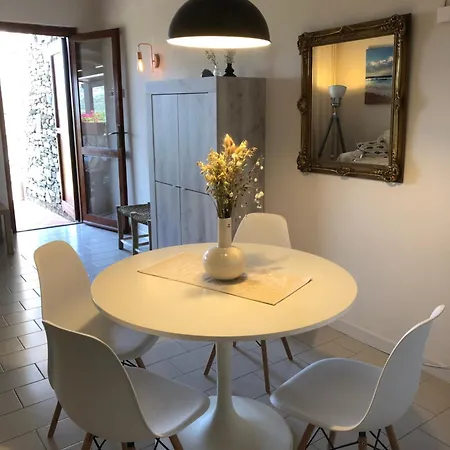 Conchiglia Di Vista Mare