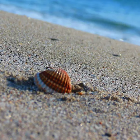 Apartmán Conchiglia Di Vista Mare