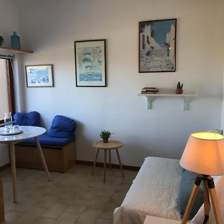 Conchiglia Di Vista Mare