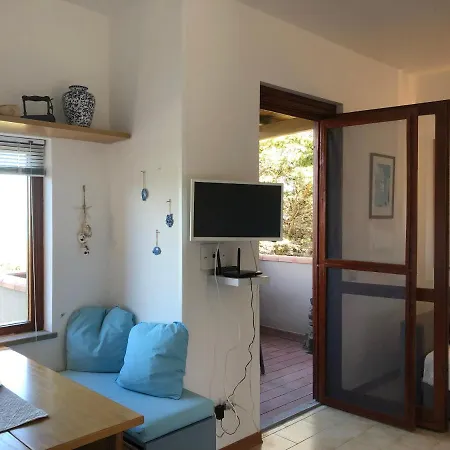 Conchiglia Di Vista Mare *