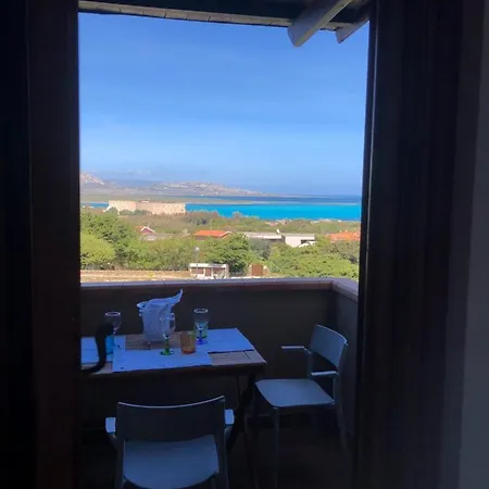 Conchiglia Di Vista Mare