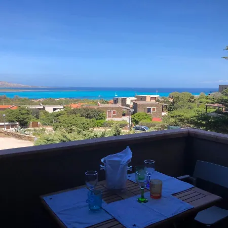 Conchiglia Di Vista Mare