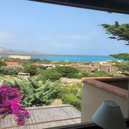 Conchiglia Di Vista Mare Stintino